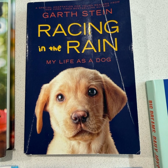 Colorful Book Collection - Picture 3 of 6